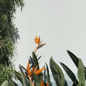 Meet your Posher, Mikayla